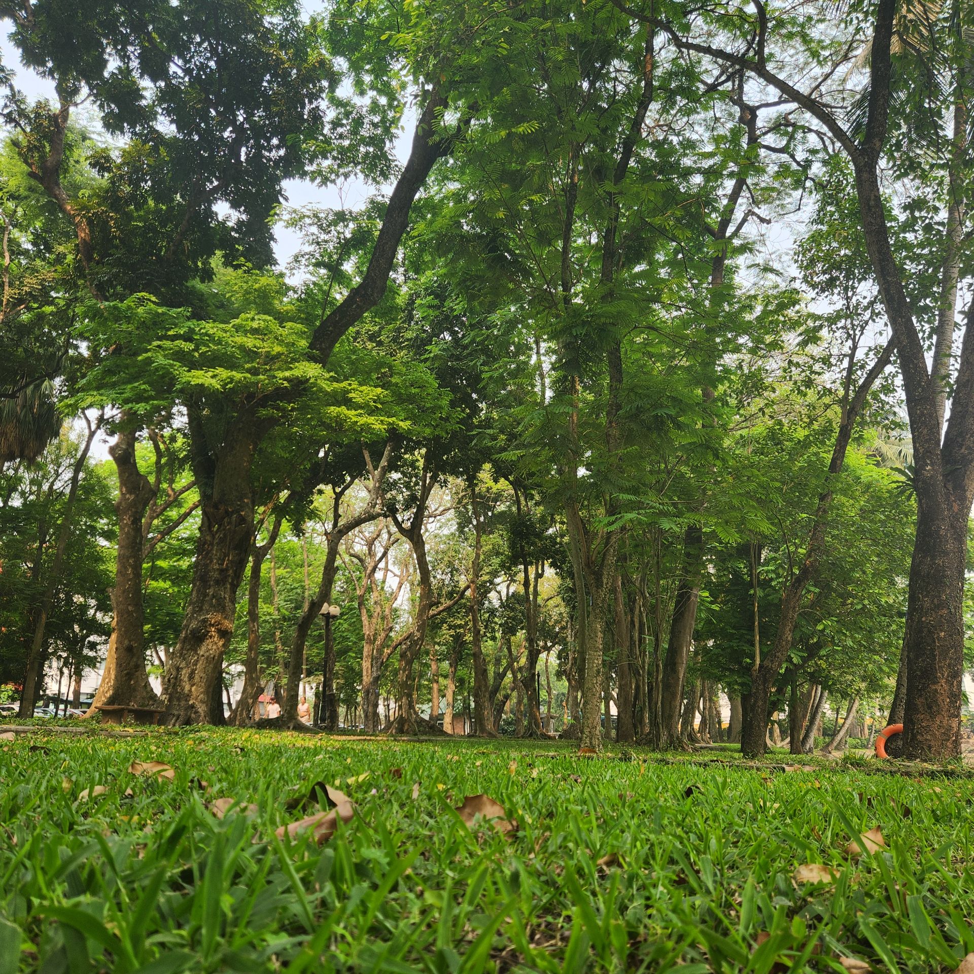 Một ngày